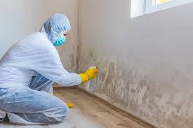 Best Forensic Mold Investigation  in Apison, TN